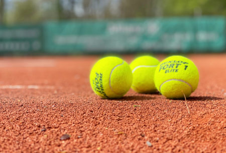 Clubkampioenschappen: de kampioenen van 2022 — tcelburg.nl